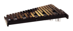 Xylophone, Drum Lessons Orlando, Barry James